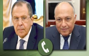 روسیه و مصر ایجاد راه حل سیاسی برای لیبی و سوریه را بررسی کردند