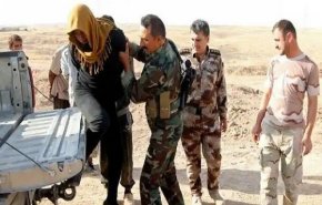 بازداشت ۸ داعشی در کرکوک و نینوای عراق