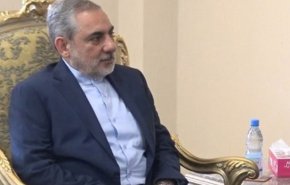 ویدئویی از استقبال رسمی از سفیر ایران در صنعا در کاخ ریاست جمهوری یمن