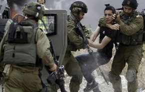 قوات الاحتلال تعتقل 12 فلسطينيًا 