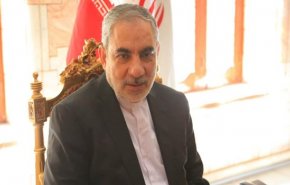 ايرلو: إيران لن تألوا جهدا في دعم الشعب اليمني 