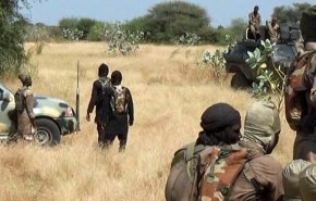 کشته شدن ۷ نظامی نیجریه در حمله داعش