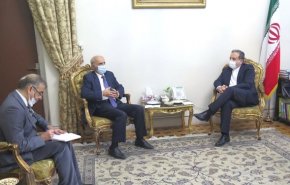 سفیر ارمنستان با عراقچی درباره قره‌باغ کوهستانی رایزنی کرد
