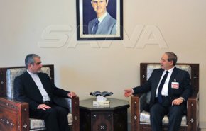 وزیر خارجه سوریه: رژیم صهیونیستی و حامیان آن پشت ترور فخری‌زاده هستند