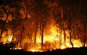 استراليا..ارتفاع قياسي لدرجات الحرارة ومخاوف من تجدد 'حرائق الغابات'!