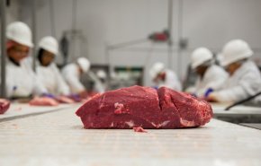 عربستان رسماً واردات گوشت از ترکیه را تحریم کرد
