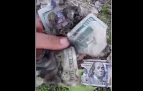 بالفيديو.. العثور على دولارات محروقة في قرية لبنانية