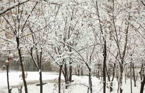 تصاویر بارش برف پاییزی در تهران