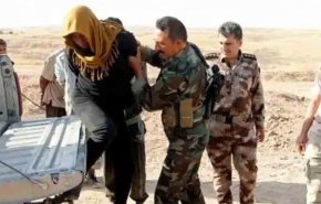 بازداشت یک عنصر اطلاعاتی داعش در استان کرکوک عراق