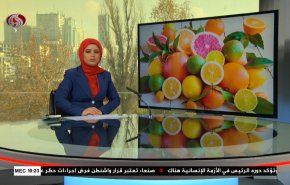 نشرة الاخبار من قناة العالم الساعة 07:00 بتوقيت غرينتش 10-12-2020 