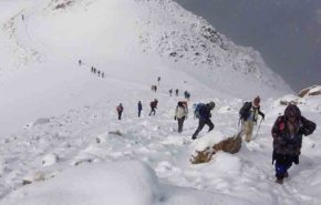 کولاک برف در توچال/ حدود ۱۰۰ کوهنورد گرفتار شدند