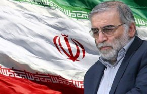 صالحی: راکتور تحقیقاتی تهران به نام شهید فخری زاده نامگذاری شد
