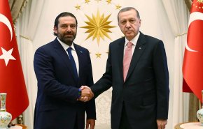 اردوغان والحريري يبحثان العلاقات الثنائية ومواضيع إقليمية