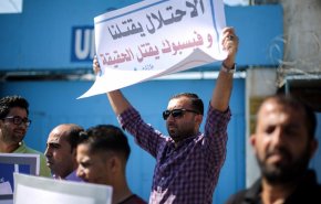 حملة إلكترونية ضد سياسة 