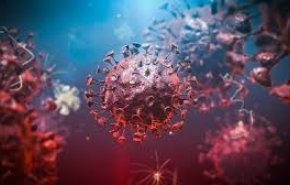 اليابان تكتشف سلالة جديدة لفيروس كورونا 