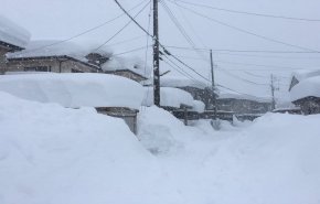بالفيديو: غزارة الثلوج تتسبب بوفاة 8 أشخاص وإصابة 226 آخرين باليابان