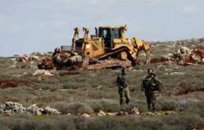 الاحتلال يجرف اراضٍ ويقتلع 80 شجرة زيتون ولوزيات شمال الخليل