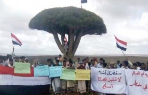 اليمن: سكان سقطرى غاضبون من مخططات الإحتلال الإماراتي