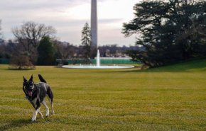 'تشامب' و'ميجور' وصلا البيت الأبيض+صور