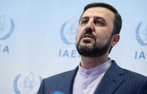 نماینده ایران زمینه‌ها و دلایل تصویب قانون اقدام راهبردی برای لغو تحریم‌ها را به اطلاع آژانس رساند
