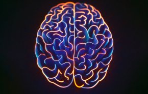دراسة: تدريب الدماغ يمكنه حل مشاكل اضطراب ما بعد الصدمة