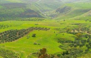 رژیم صهیونیستی عامل صدای انفجارهای مهیب در «مزارع شبعا» لبنان