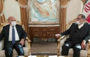 شمخانی در دیدار وزیر خارجه عراق: آمران و مرتکبان ترور شهید سلیمانی و همرزمانش به اشد مجازات برسند