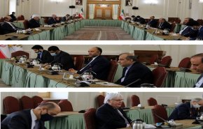 غريفيث يبحث الأزمة اليمنية مع كبير مستشاري الخارجية الايرانية 