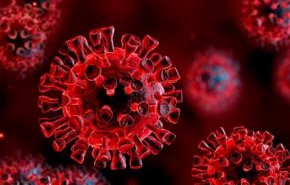 تمامی آنچه باید درباره گونه‌های جدید ویروس کرونا بدانیم/ کدام‌یک کشنده‌تر است؟
