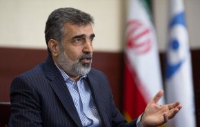 جزییات سفر مدیرکل آژانس به ایران