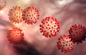 علماء يحذرون من جائحة جديدة قد يسببها فيروس تصل نسبة فتكه لـ75%