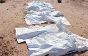 العثور على رفات 7 جثامين مجهولة شمال حماة