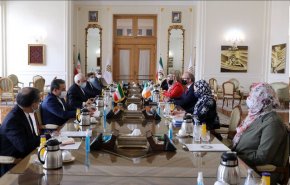 دیدار و گفت‌وگوی وزیران امور خارجه ایران و ایرلند در تهران