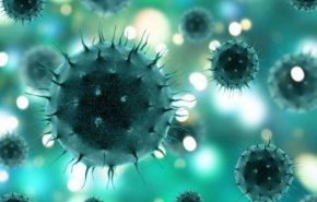 تقرير... كيف تنشأ سلالات فيروس كورونا المستجد؟