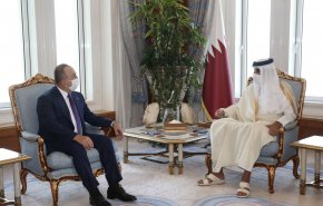أمير قطر وأوغلو يستعرضان العلاقات الاستراتيجية بين البلدين