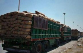 الاحتلال الامريكي يسرق كمية جديدة من القمح السوري في ريف الحسكة