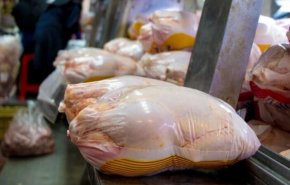 ايران تنتج مليونين و 650 الف طن من لحم الدجاج سنويا
