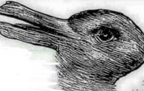بطة أو أرنب؟ خدعة بصرية عمرها 100 عام