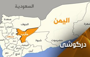 نمی‌توان یمنی‌ها را فریب سیاسی داد... آزادسازی مأرب نزدیک‌تر شده است