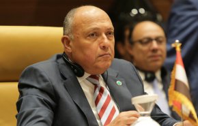 وزير الخارجية المصري: نبذل الجهود لخروج لبنان من الأزمة
