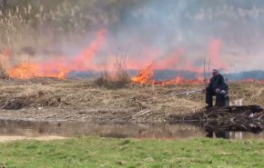 بالفيديو.. رجل يواصل صيد السمك رغم حريق يقترب منه