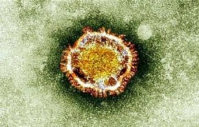 مصر تحذر من ظهور فيروس جديد.. يؤدي إلى غيبوبة خلال 48 ساعة!