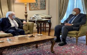 وزير الخارجية المصري يلتقي غريفيث لبحث الازمة اليمنية