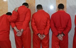 غضب على مواقع التواصل بسبب تنفيذ حكم الإعدام في 17 مصرياً