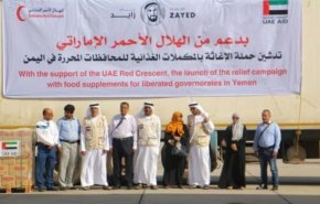  إمارات ليكس: عمليات فساد في مساعدات الإمارات المعلنة لليمن  
