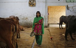 ریختن ادرار گاو در دهان بیمار کرونایی بستری شده در هند + عکس
