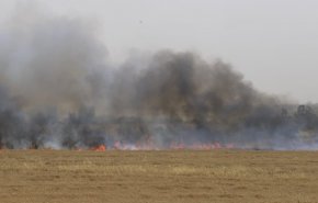 اذعان صهیونیست‌ها به 35 مورد آتش سوزی در جنوب اسرائیل