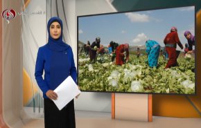 نشرة الاخبار الاقتصادية من قناة العالم 15:30بتوقيت غرينتش 14-05-2021