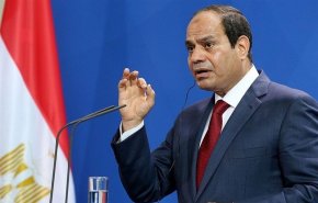 السيسي: مصر تبذل جهودا للتوصل إلى وقف إطلاق النار في غزة
