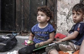 منظمة دولية تحذر: قطاع غزة لن يتحمل 